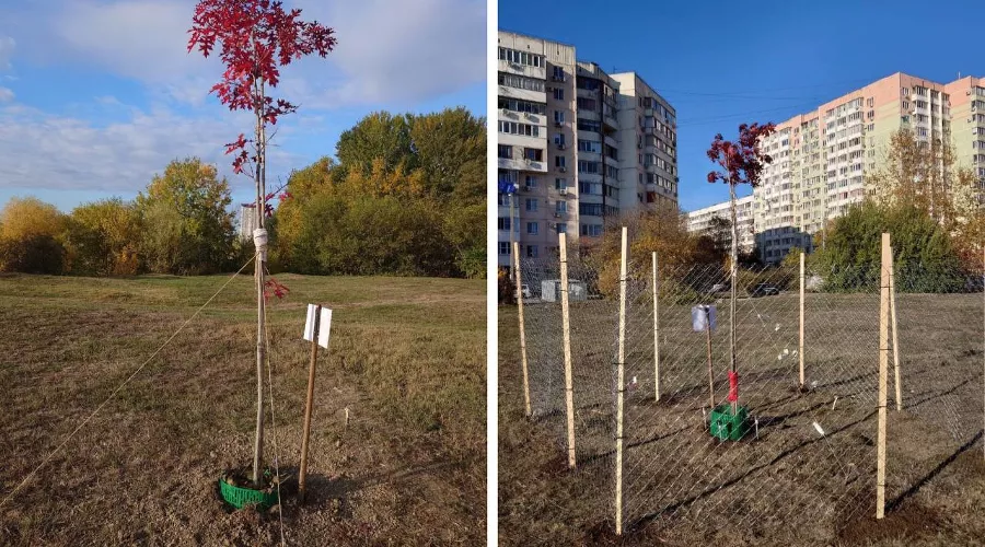  &copy;&nbsp;Скриншот фото из телеграм-канала &laquo;ЮМР Краснодар&raquo;