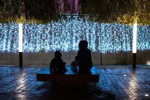 Парк «Краснодар»  с новогодней подсветкой &copy;&nbsp;Фото Елены Синеок, Юга.ру