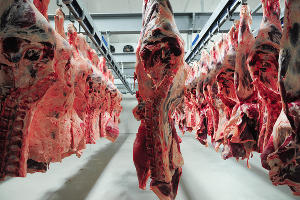 Завод по производству мяса в Брянской области © Фото Елены Лободиной, Юга.ру