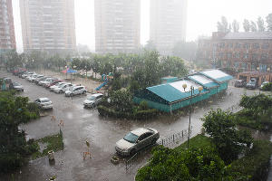  &copy;&nbsp;Фото Елены Синеок, Юга.ру