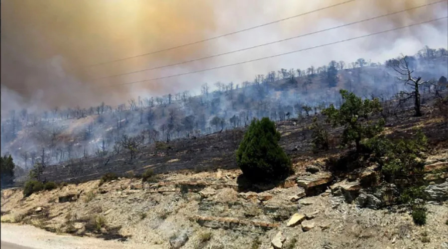  &copy;&nbsp;Скриншот из телеграм-канала https://t.me/ciaec/386