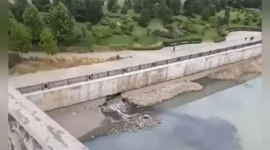  &copy;&nbsp;Скриншот видео из телеграм-канала &laquo;Телетайп Краснодара&raquo;, tmtr.me/tipichkras