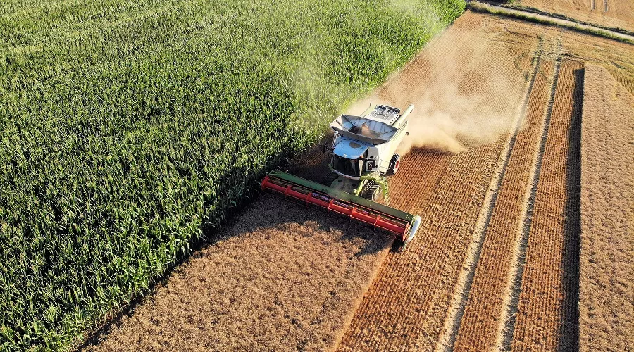  &copy;&nbsp;Фото Christian Bueltemann, pixabay.com