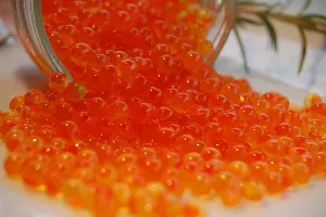  &copy;&nbsp;Фото с сайта commons.wikimedia.org