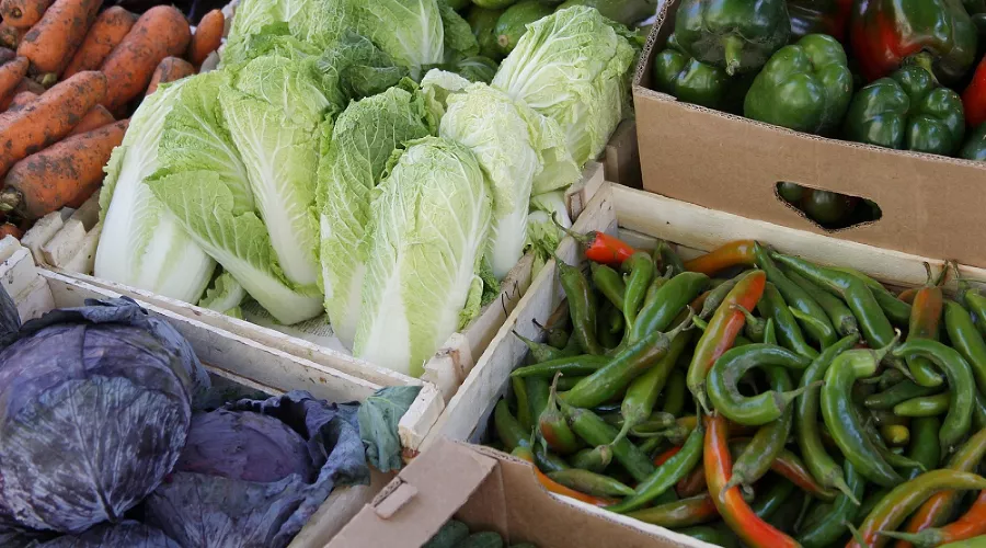  &copy;&nbsp;Фото пресс-службы администрации Краснодара