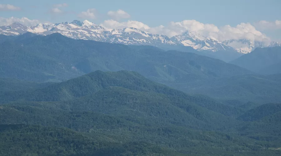  &copy;&nbsp;Фото Елены Синеок, Юга.ру