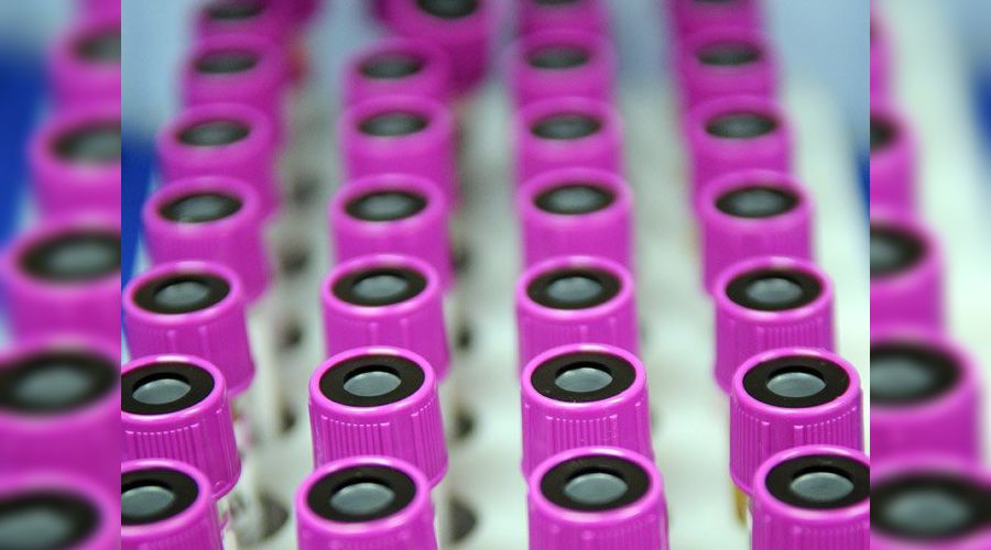  © Елена Синеок. ЮГА.ру