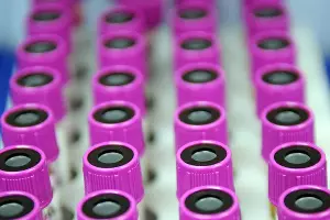  &copy;&nbsp;Елена Синеок. ЮГА.ру