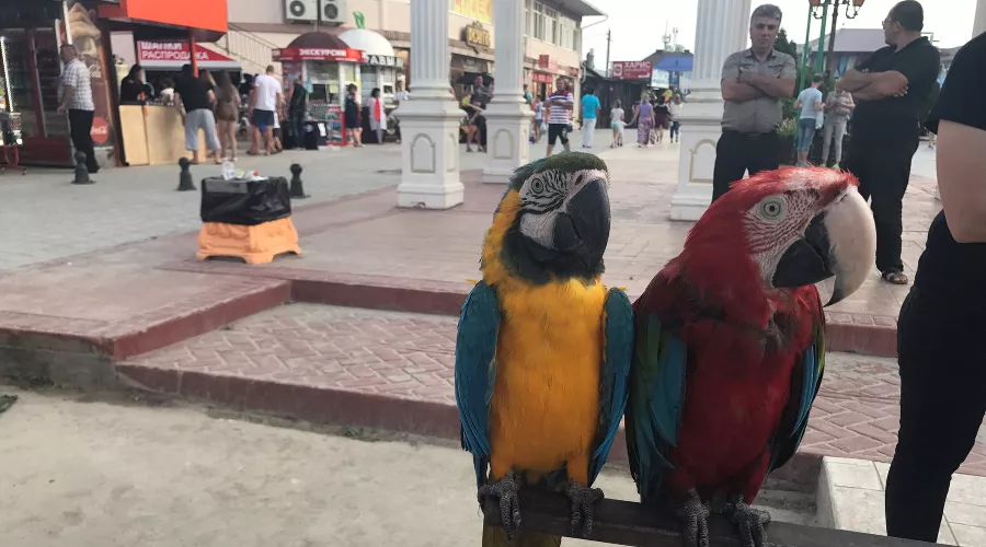  &copy;&nbsp;Фото пресс-службы прокуратуры Краснодарского края
