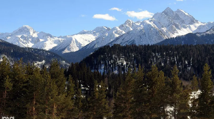  &copy;&nbsp;Фото Елены Синеок, Юга.ру