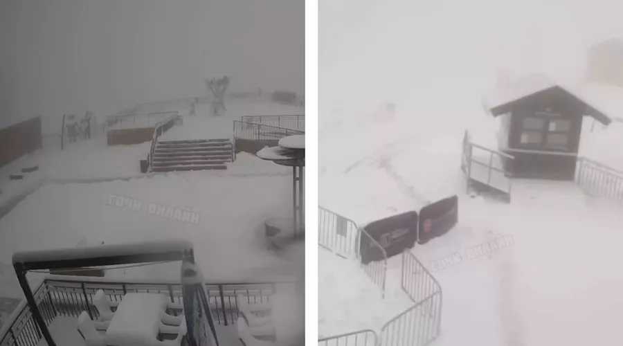  &copy;&nbsp;Коллаж из скриншотов видео из телеграм-канала &laquo;Сочи Онлайн&raquo;