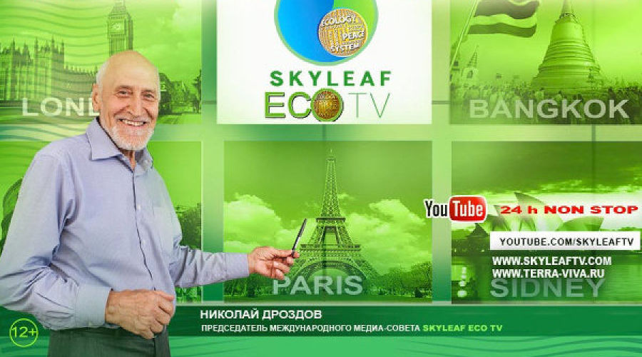 SkyLeaf Eco TV © Фото wapkin.livejournal.com