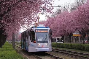  &copy;&nbsp;Фото Марины Солошко, Юга.ру