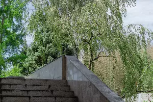 Березы у музея Дерева Дружбы в Сочи &copy;&nbsp;Фото Юли Шафаростовой, Юга.ру