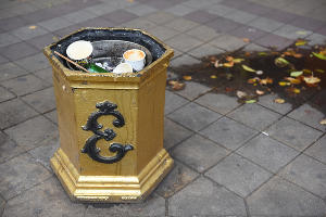  © Фото Елены Синеок, Юга.ру