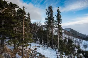 За снегом на Volkswagen Teramont &copy;&nbsp;Фото Елены Синеок, Юга.ру