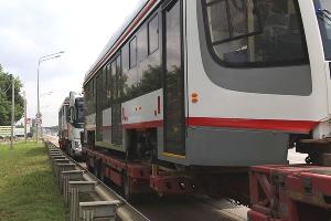  © Фото пресс-службы мэрии Краснодара