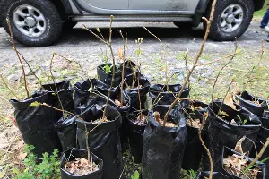  &copy;&nbsp;Фото пресс-службы Кавказского заповедника