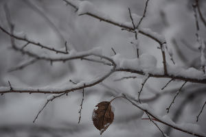  &copy;&nbsp;Фото Елены Синеок, Юга.ру