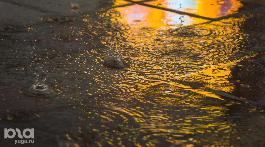  &copy;&nbsp;Фото Елены Синеок, Юга.ру