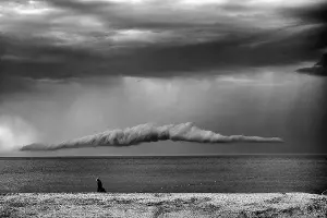  &copy;&nbsp;Фото предоставлено пресс-службой музея им. Ф.А. Коваленко