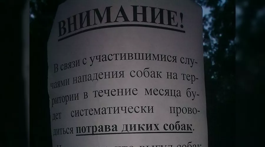  &copy;&nbsp;Фото Олега Шевцова