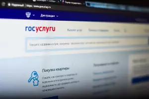  &copy;&nbsp;Фото Елены Синеок, Юга.ру