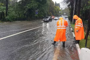  &copy;&nbsp;Фото из телеграм-канала &laquo;Люьимый Сочи&raquo;, t.me/love_sochi