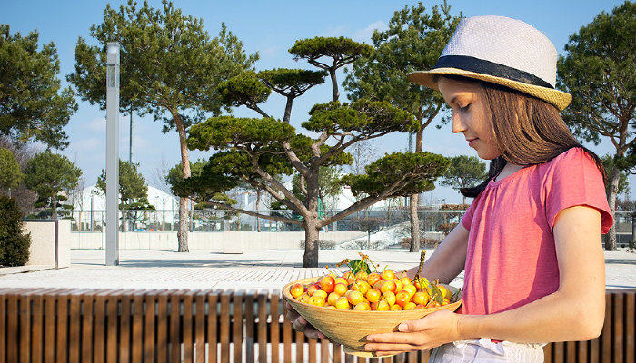 Фрукты и ягоды прямо под&nbsp;ногами