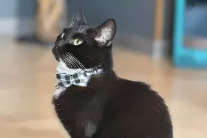  &copy;&nbsp;Фото Марии Журавлевой, Юга.ру