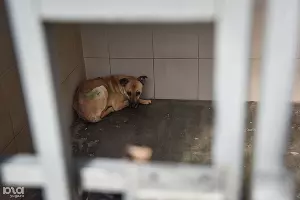  &copy;&nbsp;Фото Елены Синеок, Юга.ру