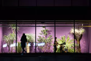 Парк «Краснодар»  с новогодней подсветкой &copy;&nbsp;Фото Елены Синеок, Юга.ру