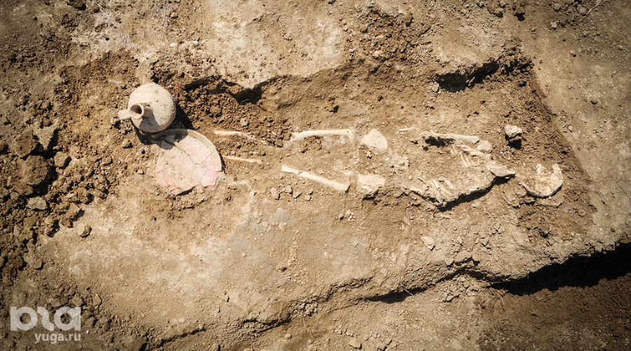  © Фото Елены Синеок, Юга.ру