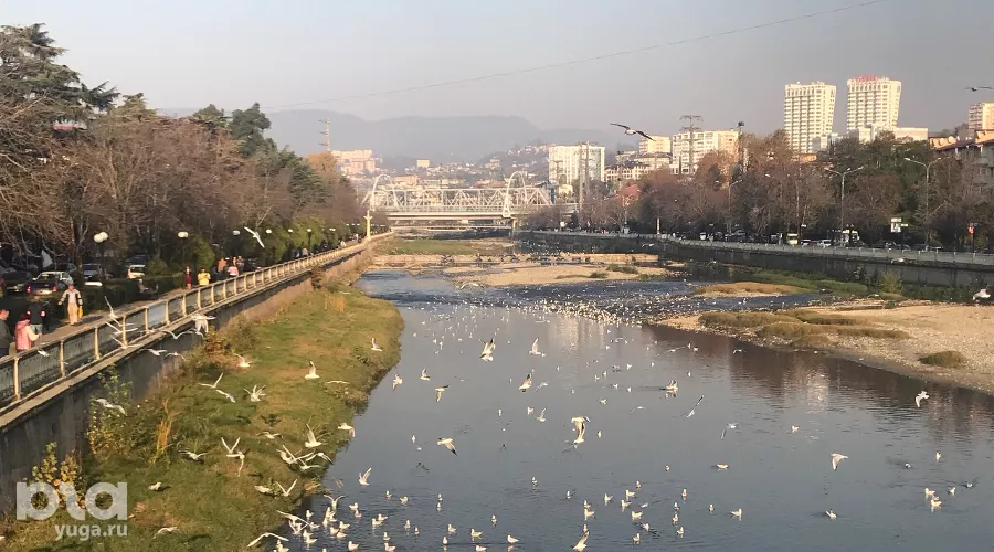  &copy;&nbsp;Фото Юлии Барановой, Юга.ру