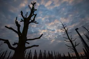 Парк «Краснодар» &copy;&nbsp;Фото Елены Синеок, Юга.ру