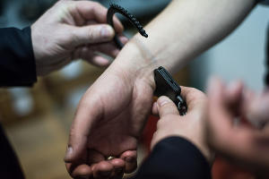  © Фото Елены Синеок, Юга.ру