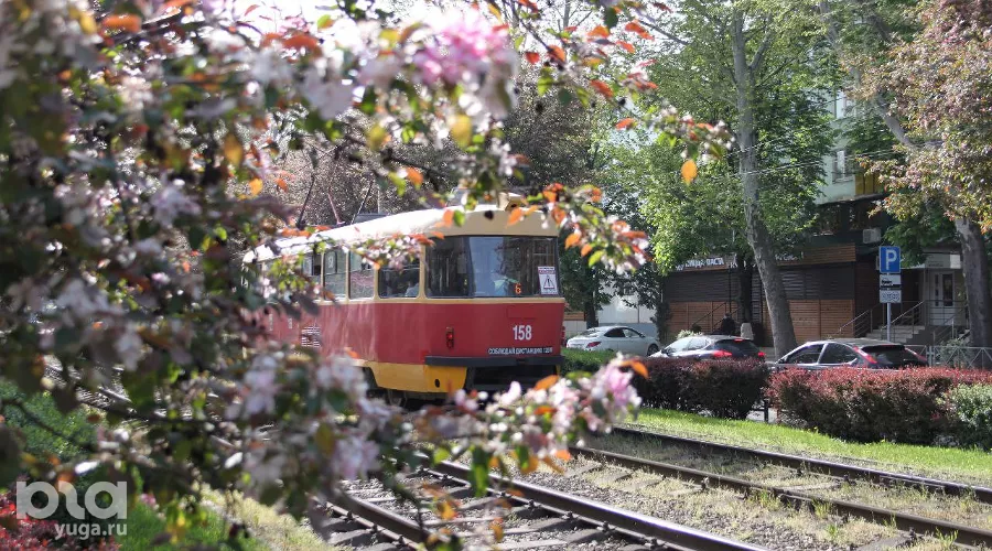  &copy;&nbsp;Фото Марины Солошко, Юга.ру