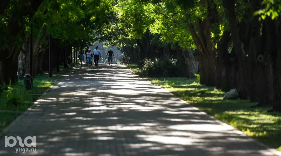  &copy;&nbsp;Фото Елены Синеок, Юга.ру