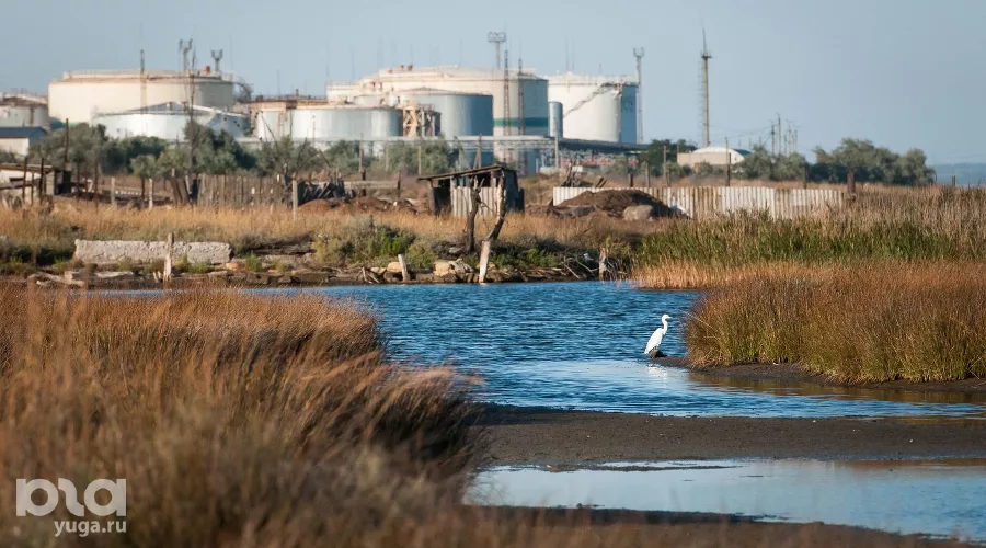 Поселок Чушка &copy;&nbsp;Фото Елены Синеок, Юга.ру