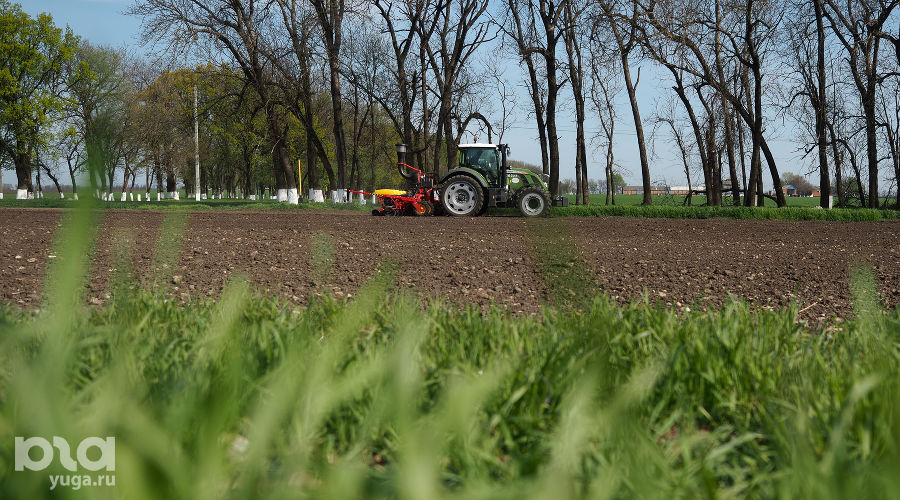  © Фото Виталия Тимкива, Юга.ру