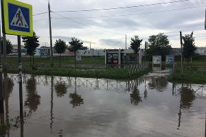  © Фото Дмитрия Пославского, Юга.ру