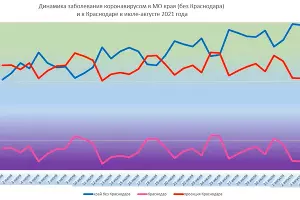 &copy;&nbsp;Скриншот с ютуб-канала &laquo;Азбука горожанина&raquo;