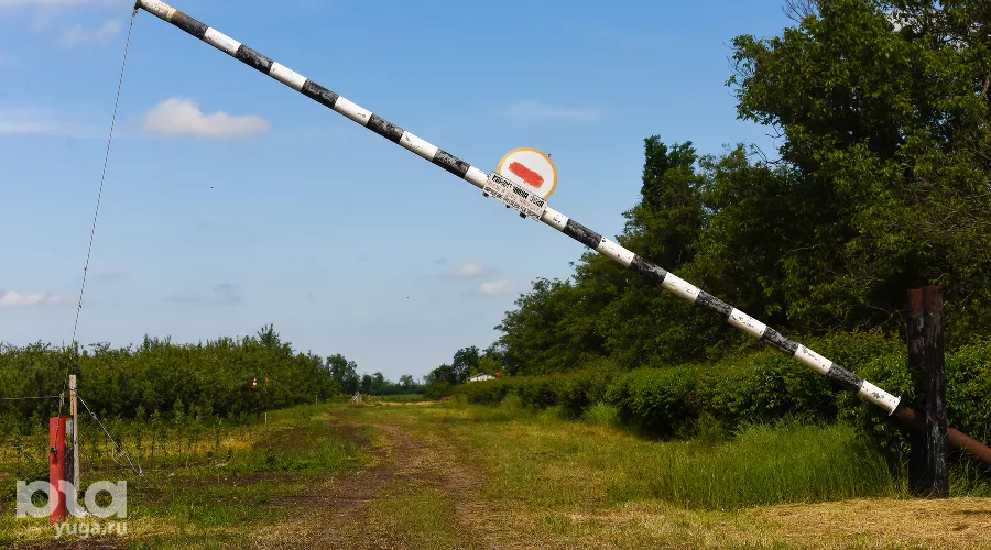  &copy;&nbsp;Фото Елены Синеок, Юга.ру