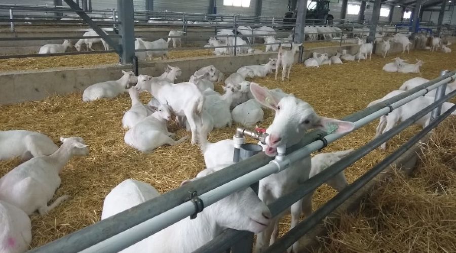  © Фото Юлии Барановой, Юга.ру