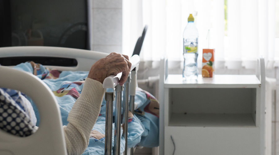  © Фото Елены Синеок, Юга.ру