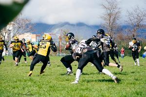 Матч по американскому футболу «Новороссийские адмиралы» — «Краснодарские бизоны» © Фото пресс-службы КАФ «Краснодарские бизоны»