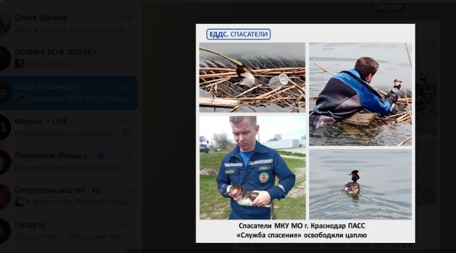  &copy;&nbsp;Скриншот с телеграм-канала t.me/eddskrd23