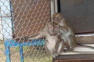  &copy;&nbsp;Фото пресс-службы Южного таможенного управления