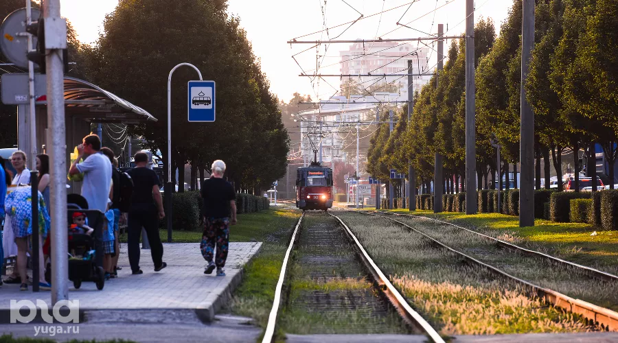  &copy;&nbsp;Фото Елены Синеок, Юга.ру