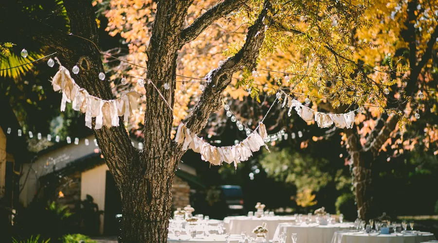  &copy;&nbsp;Фото Ben Rosett, unsplash.com